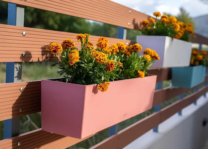 Nyaraló Blu Fiore Alikanász