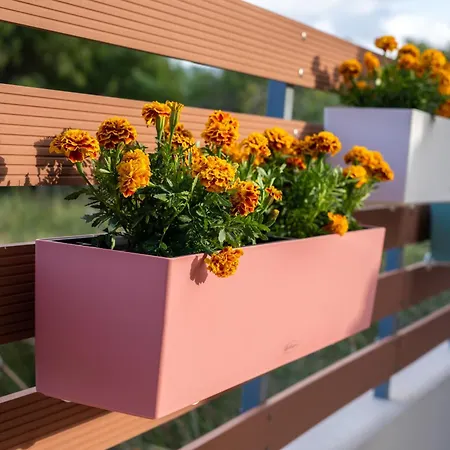 Feriehus Blu Fiore Alykanas (Zakynthos)